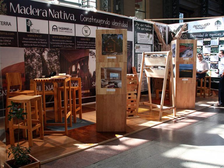 IGNISTERRA EN LA SEMANA DE LA MADERA