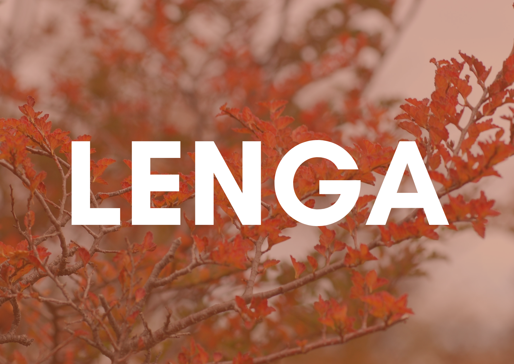 BOLSA 15 k. PELLETS LENGA SOLO RETIRO EN TIENDAS (POR CADA COMPRA DE 10 BOLSAS, TE REGALAMOS 1)