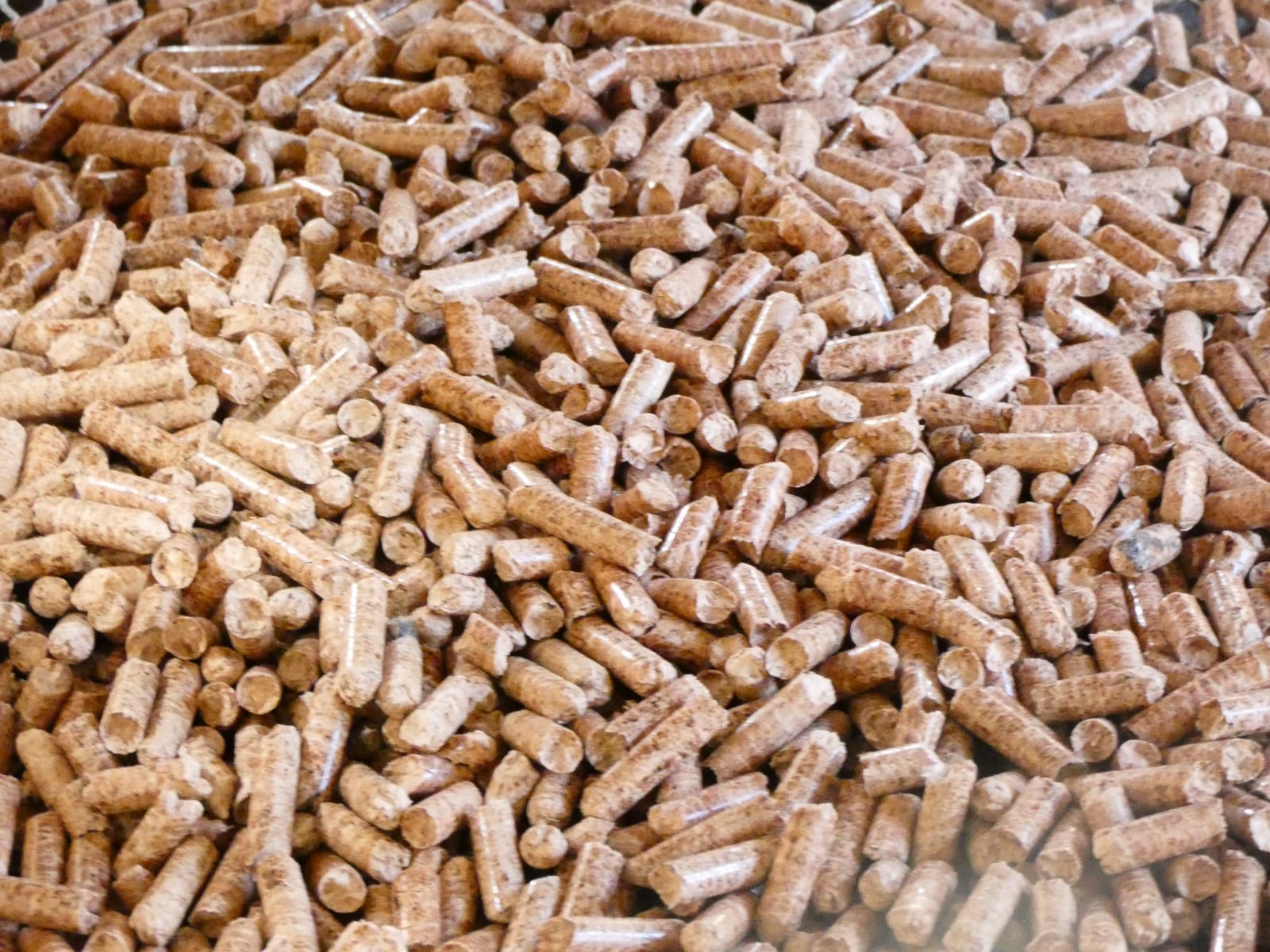 BOLSA 15 k. PELLETS LENGA SOLO RETIRO EN TIENDAS (POR CADA COMPRA DE 10 BOLSAS, TE REGALAMOS 1)